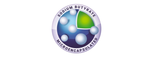 Maślan Sodu 550 mg (Kwas masłowy 170 mg) x 100 kapsułek ALINESS