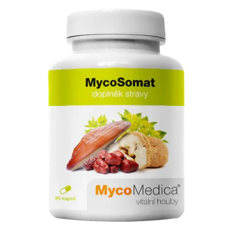 MycoSomat 90 tabletek MycoMedica